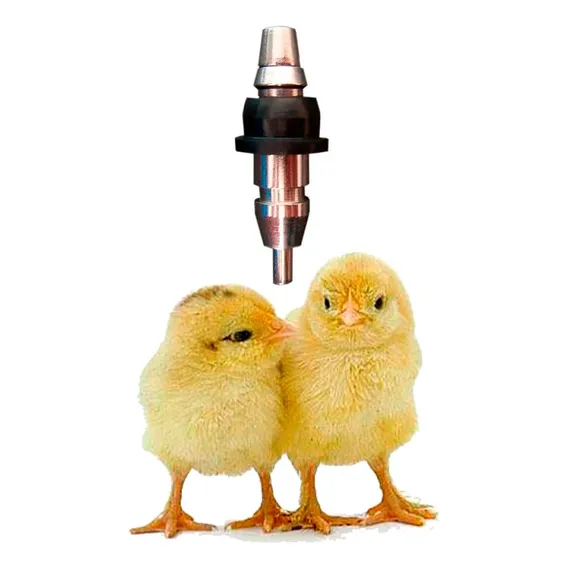 Kit Com 5 Bebedouro Automático Para Aves Tipo Niple Inox Foto 1