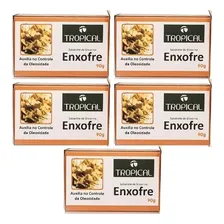 Kit Com 5 Sabonete Enxofre 90g Tropical Foto  mini 1
