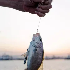 Kit Com 600 Anzóis Aço Carbono #3 Ao #12 + Caixa Pesca Anzol Foto mini  3