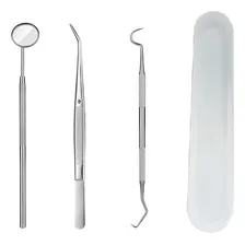 Kit Com Estojo Removedor Tártaro Limpeza Dental Completa Top Cor Prateado Foto mini 1
