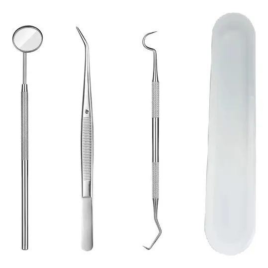 Kit Com Estojo Removedor Tártaro Limpeza Dental Completa Top Cor Prateado Foto 1
