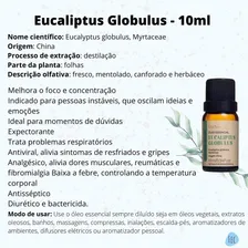 Kit Difusor Usb E Óleo Essencial Eucalipto Lavanda E Laranja Cor Branco Foto mini 3