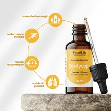 Kit Energia E EquilÃbrio Extrato Cordyceps + Reishi 30ml Foto mini 3