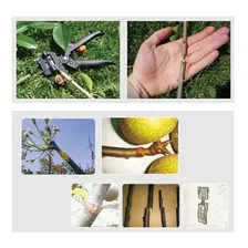 Kit Enxerto Profissional Alicate + Fita De Enxertia Foto mini  3