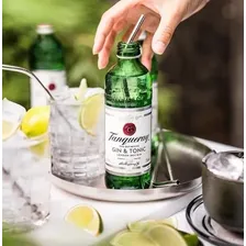 Kit Gin Especiaria + Gin Tanqueray 275ml + Brinde! Foto mini 3