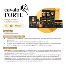 Kit Haskell Cavalo Forte 500ml Shampoo Cond. Máscara Haskell Foto mini 4