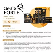 Kit Haskell Cavalo Forte Grande 3 Produtos G + Complexo Foto mini 2