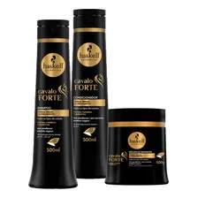 Kit Haskell Cavalo Forte Sh+cond. 500ml+ Másc 500g Foto mini 1