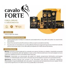 Kit Haskell Crescimento Capilar Cavalo Forte 3 Produtos Foto mini  3