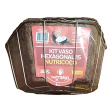 Kit Hexagonal Nutricoco 15 (vaso+suporte+corrente) Nutriplan Foto mini 2