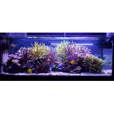 Kit Luminária 82cm Barra Tubo Led Iluminação Aquário Peixes Foto mini  2