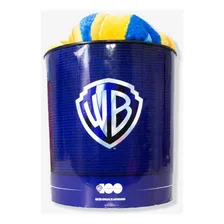 Kit Manta Com Balde Warner 100 Anos Foto mini  2