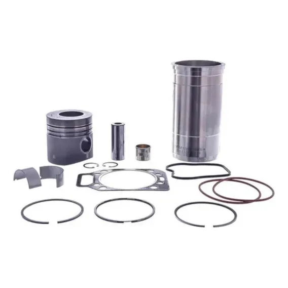 Kit Motor Mwm 229 F1000 7110s 0.25 C/ Bronzina Foto 1