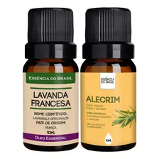 Kit Óleo Essencial Lavanda Francesa + Vegetal Alecrim 10ml Foto mini 1