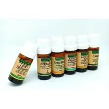 Kit Óleo Essencial Lavanda Francesa + Vegetal Alecrim 10ml Foto mini 2