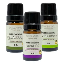 Kit Óleos De Melaleuca, Lavanda E Hortelã Pimenta 10ml Foto  mini 1