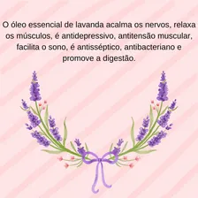 Kit Óleos Essenciais Lavanda Francesa Ylang Ylang Foto mini 2