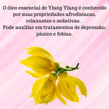 Kit Óleos Essenciais Lavanda Francesa Ylang Ylang Foto mini 3