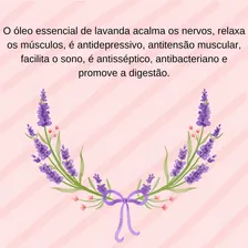 Kit Óleos Essenciais Lavanda Hortelã Pimenta Alecrim Foto mini 4