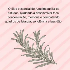 Kit Óleos Essenciais Lavanda Hortelã Pimenta Alecrim Foto mini 2
