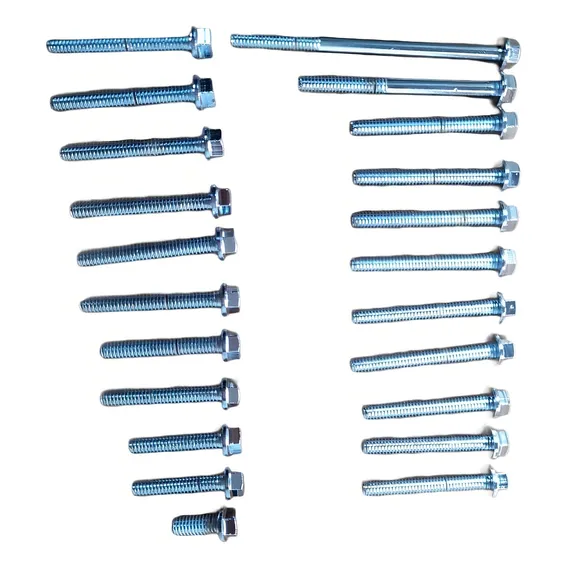 Kit Parafuso Tpa. Motor Cromado Titan Ks 00..04 Foto 1