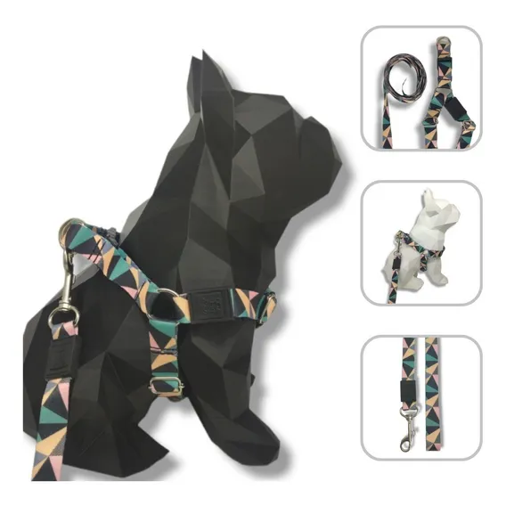 Kit Peitoral E Guia Para Cachorro De Médio Porte Cor Abstrata Foto 1
