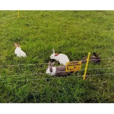 Kit Pet Cerca Elétrica Zebu Cerca Elétrica Pequenos Animais 110V/220V Foto mini 3