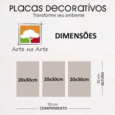 Kit Placas Quadros Decorativos 3 Pçs 20x30 Sonhe Acredite Foto mini 4