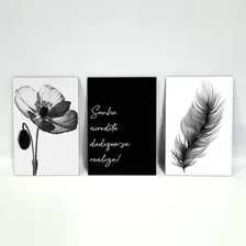 Kit Placas Quadros Decorativos 3 Peças Mdf - Sonhe, Acredite Foto mini  3