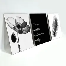 Kit Placas Quadros Decorativos 3 Peças Mdf - Sonhe, Acredite Foto mini  2