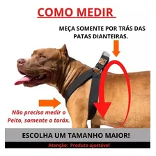 Kit Premium Peitoral Focinheira Coleira P/ Cachorro + Brinde Cor Rosa Tamanho Da Coleira P Foto mini  3