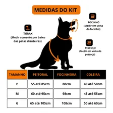 Kit Premium Peitoral Focinheira Coleira P/ Cachorro + Brinde Cor Rosa Tamanho Da Coleira P Foto mini  2