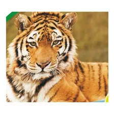 Kit Quebra Cabeca Zoo Girafa + Quebra Cabeca Zoo Tigre Nig Foto mini 3