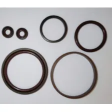 Kit Reparo Anéis Compressor 12v Nuoge 1° E 2° Estágios Foto  mini 1