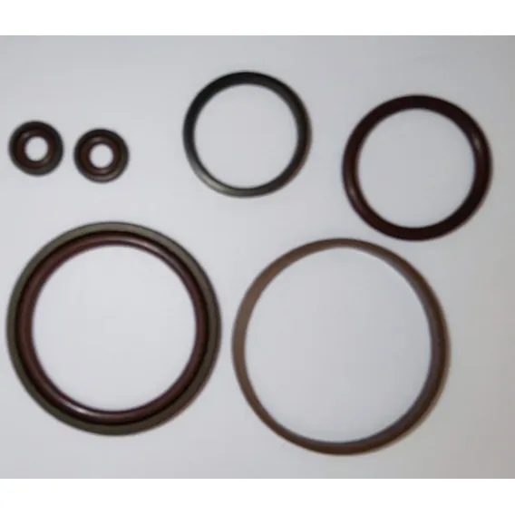 Kit Reparo Anéis Compressor 12v Nuoge 1° E 2° Estágios Foto 1