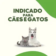 Kit Sabonete Para Cachorro Matacura 3un Higiene Pet Foto mini 4