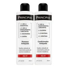 Kit Shampoo E Condicionador Antiqueda Aq-01 Foto  mini 1