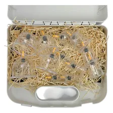 Kit Ventosas Luxo Com 12 Copos + Aplicador Acupuntura Estek Foto mini 3