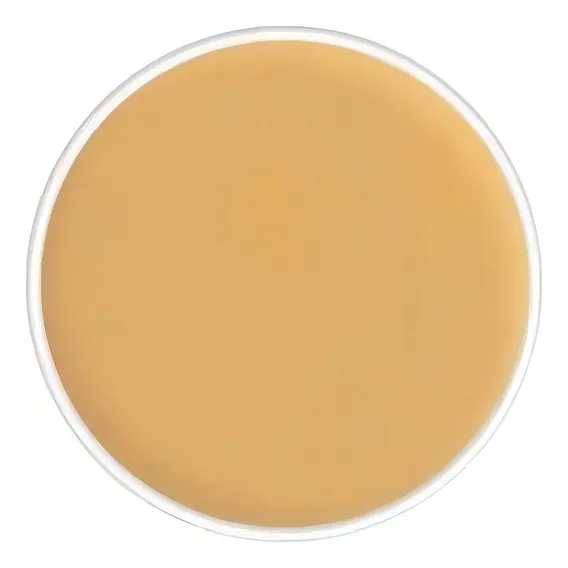 Kryolan Dermacolor Refil Corretivo 4g Tom D3 Foto 1