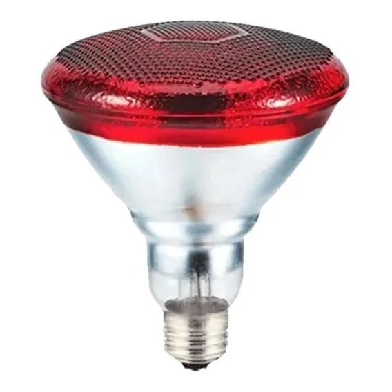 Lâmpada Fisioterapia Infravermelho 150w Dor Muscular Foto 1