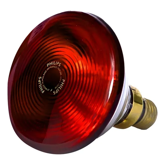 Lâmpada infravermelho Philips PAR38 150W Foto 1