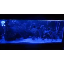 Lâmpada Led Tubular Azul Para Aquário 120cm 20w 127/220V Foto mini  3