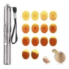 Lanterna Led Ovosc贸pio Chocadeira Ovos Incubadora Pintos 12V Foto mini 4