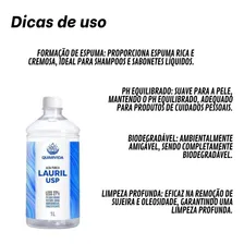 Lauril Líquido Cosmetico Sabonete Espuma Desengordurante 2lt Foto mini  3