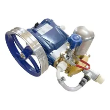 Lavadora Lj3000 Chiaperini Apenas Bomba Sem Motor 110v Foto mini 1