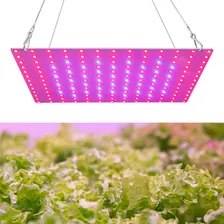Led Grow Light Red Blue Full Spectrum 169 Leds Grow Lâmpadas Foto mini 4