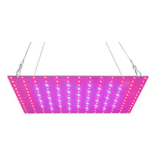 Led Grow Light Red Blue Full Spectrum 169 Leds Grow Lâmpadas Foto  mini 1