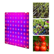 Led Grow Light Red Blue Full Spectrum 169 Leds Grow Lâmpadas Foto mini  3