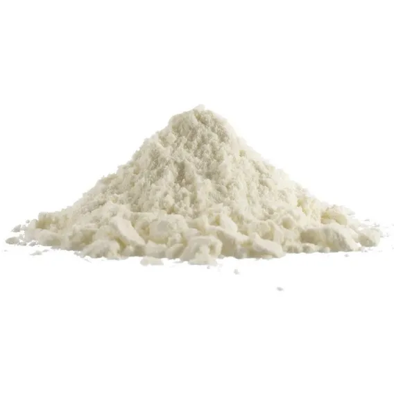 Leite De Coco Em P贸 Puro - 200g Foto 1