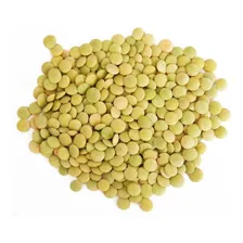 Lentilha 500g Foto  mini 1